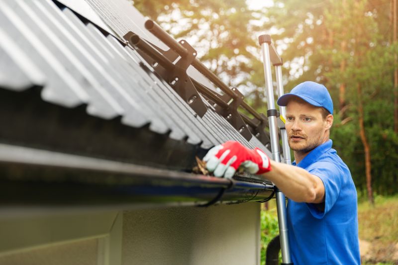 Gutter and Roof Edge Repair